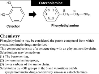Chemistry-
Phenylethylamine may be considered the parent compound from which
sympathomimetic drugs are derived -
This compound consists of a benzene ring with an ethylamine side chain.
Substitutions may be made on
(1) The benzene ring,
(2) the terminal amino group,
(3) the or carbons of the amino chain.
Substitution by –OH groups at the 3 and 4 positions yields
sympathomimetic drugs collectively known as catecholamines.
Catecholamine
 
