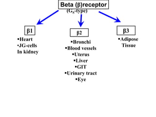 Beta (β)receptor
β1 β2 β3
(GS-type)
Heart
•JG-cells
In kidney
Bronchi
Blood vessels
Uterus
Liver
GIT
Urinary tract
Eye
Adipose
Tissue
 