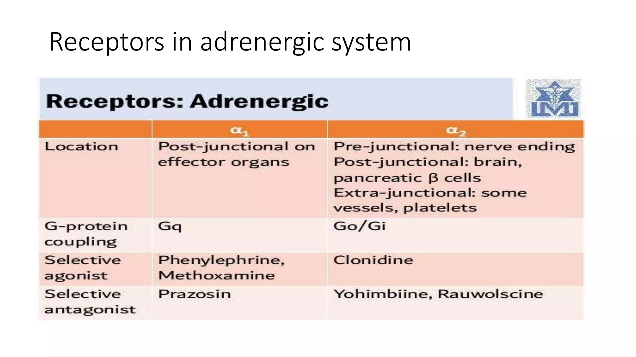 Receptors in adrenergic system
 