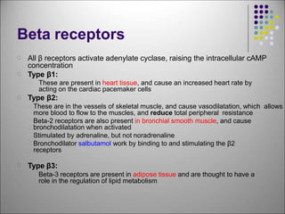 Adrenergic system.pptx