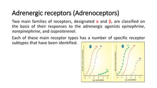 β-Adrenoceptors
• For β receptors, the rank order of potency is isoproterenol > epinephrine >
norepinephrine. The β-Adreno...