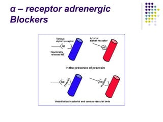 α – receptor adrenergic
Blockers
 