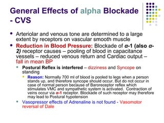 General Effects of alpha Blockade
- CVS
 Arteriolar and venous tone are determined to a large
extent by receptors on vascular smooth muscle
 Reduction in Blood Pressure: Blockade of α-1 (also α-
2) receptor causes – pooling of blood in capacitance
vessels – reduced venous return and Cardiac output –
fall in mean BP
 Postural Reflex is interfered – dizziness and Syncope on
standing
 Reason: Normally 700 ml of blood is pooled to legs when a person
stands up, and therefore syncope should occur. But do not occur in
case of normal person because of Baroreceptor reflex which
stimulates VMC and sympathetic system is activated. Contraction of
veins occur via α-1 receptor. Blockade of such receptor may therefore
may lead to Postural hypotension
 Vasopressor effects of Adrenaline is not found - Vasomotor
reversal of Dale
 
