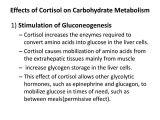 Effects of Cortisol on Carbohydrate Metabolism
1) Stimulation of Gluconeogenesis
– Cortisol increases the enzymes required to
convert amino acids into glucose in the liver cells.
– Cortisol causes mobilization of amino acids from
the extrahepatic tissues mainly from muscle
– increase glycogen storage in the liver cells.
– This effect of cortisol allows other glycolytic
hormones, such as epinephrine and glucagon, to
mobilize glucose in times of need, such as
between meals(permissive effect).
 