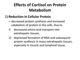 Effects of Cortisol on Protein
Metabolism
1) Reduction in Cellular Protein
– decreased protein synthesis and increased
catabolism of protein in the cells. Due to
i) decreased amino acid transport into
extrahepatic tissues,
ii) depressed formation of RNA and subsequent
protein synthesis in many extrahepatic tissues,
especially in muscle and lymphoid tissue.
 