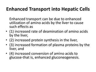 Enhanced Transport into Hepatic Cells
Enhanced transport can be due to enhanced
utilization of amino acids by the liver to cause
such effects as
• (1) increased rate of deamination of amino acids
by the liver,
• (2) increased protein synthesis in the liver,
• (3) increased formation of plasma proteins by the
liver, and
• (4) increased conversion of amino acids to
glucose-that is, enhanced gluconeogenesis.
 