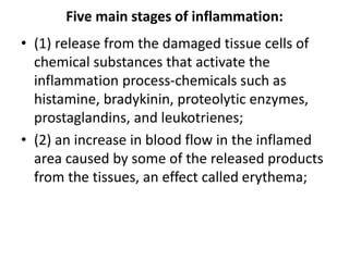 Five main stages of inflammation:
• (1) release from the damaged tissue cells of
chemical substances that activate the
inflammation process-chemicals such as
histamine, bradykinin, proteolytic enzymes,
prostaglandins, and leukotrienes;
• (2) an increase in blood flow in the inflamed
area caused by some of the released products
from the tissues, an effect called erythema;
 
