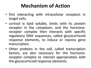 Mechanism of Action
• first interacting with intracellular receptors in
target cells.
• cortisol is lipid soluble, binds with its protein
receptor in the cytoplasm, and the hormone-
receptor complex then interacts with specific
regulatory DNA sequences, called glucocorticoid
response elements, to induce or repress gene
transcription.
• Other proteins in the cell, called transcription
factors, are also necessary for the hormone-
receptor complex to interact appropriately with
the glucocorticoid response elements.
 