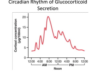 Circadian Rhythm of Glucocorticoid
Secretion
 