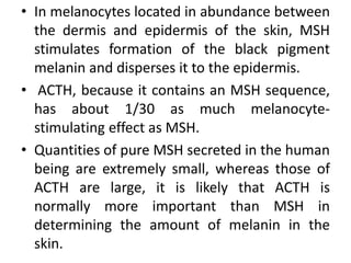 • In melanocytes located in abundance between
the dermis and epidermis of the skin, MSH
stimulates formation of the black pigment
melanin and disperses it to the epidermis.
• ACTH, because it contains an MSH sequence,
has about 1/30 as much melanocyte-
stimulating effect as MSH.
• Quantities of pure MSH secreted in the human
being are extremely small, whereas those of
ACTH are large, it is likely that ACTH is
normally more important than MSH in
determining the amount of melanin in the
skin.
 