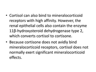 • Cortisol can also bind to mineralocorticoid
receptors with high affinity. However, the
renal epithelial cells also contain the enzyme
11β-hydroxysteroid dehydrogenase type 2,
which converts cortisol to cortisone.
• Because cortisone does not avidly bind
mineralocorticoid receptors, cortisol does not
normally exert significant mineralocorticoid
effects.
 