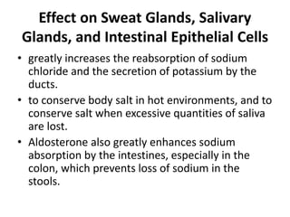 Effect on Sweat Glands, Salivary
Glands, and Intestinal Epithelial Cells
• greatly increases the reabsorption of sodium
chloride and the secretion of potassium by the
ducts.
• to conserve body salt in hot environments, and to
conserve salt when excessive quantities of saliva
are lost.
• Aldosterone also greatly enhances sodium
absorption by the intestines, especially in the
colon, which prevents loss of sodium in the
stools.
 