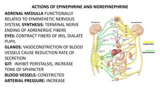 ACTIONS OF EPINEPHRINE AND NOREPINEPHRINE
ADRENAL MEDULLA FUNCTIONALLY
RELATED TO SYMPATHETIC NERVOUS
SYSTEM, SYNTHESIS: TERMINAL NERVE
ENDING OF ADRENERGIC FIBERS
EYES: CONTRACT FIBERS OF IRIS, DIALATE
PUPIL
GLANDS: VASOCONSTRICTION OF BLOOD
VESSELS CAUSE REDUCTION RATE OF
SECRETION
GIT: INHIBIT PERISTALSIS, INCREASE
TONE OF SPHINCTER
BLOOD VESSELS: CONSTRICTED
ARTERIAL PRESSURE: INCREASE
 