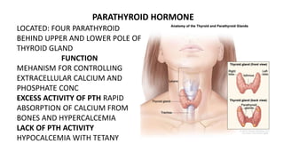 PARATHYROID HORMONE
LOCATED: FOUR PARATHYROID
BEHIND UPPER AND LOWER POLE OF
THYROID GLAND
FUNCTION
MEHANISM FOR CONTROLLING
EXTRACELLULAR CALCIUM AND
PHOSPHATE CONC
EXCESS ACTIVITY OF PTH RAPID
ABSORPTION OF CALCIUM FROM
BONES AND HYPERCALCEMIA
LACK OF PTH ACTIVITY
HYPOCALCEMIA WITH TETANY
 