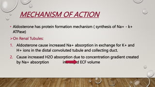 Adrenocortical Hormones presentation.pptx