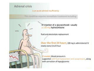 Adrenocortical insufficiency | PPT