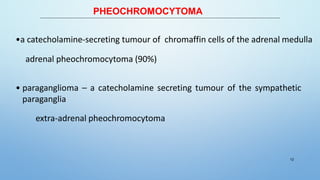 PHEOCHROMOCYTOMA
•a catecholamine-secreting tumour of chromaffin cells of the adrenal medulla
adrenal pheochromocytoma (90%)
• paraganglioma – a catecholamine secreting tumour of the sympathetic
paraganglia
extra-adrenal pheochromocytoma
12
 