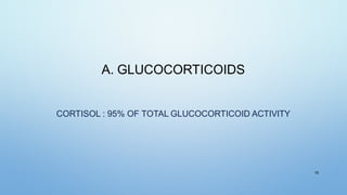 A. GLUCOCORTICOIDS
CORTISOL : 95% OF TOTAL GLUCOCORTICOID ACTIVITY
16
 