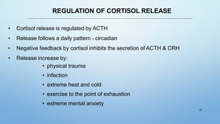REGULATION OF CORTISOL RELEASE
• Cortisol release is regulated by ACTH
• Release follows a daily pattern - circadian
• Negative feedback by cortisol inhibits the secretion of ACTH & CRH
• Release increase by:
• physical trauma
• infection
• extreme heat and cold
• exercise to the point of exhaustion
• extreme mental anxiety
20
 