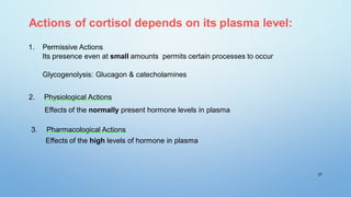 Actions of cortisol depends on its plasma level:
1. Permissive Actions
Its presence even at small amounts permits certain processes to occur
Glycogenolysis: Glucagon & catecholamines
2. Physiological Actions
Effects of the normally present hormone levels in plasma
3. Pharmacological Actions
Effects of the high levels of hormone in plasma
27
 