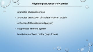 Physiological Actions of Cortisol
• promotes gluconeogenesis
• promotes breakdown of skeletal muscle protein
• enhances fat breakdown (lipolysis)
• suppresses immune system
• breakdown of bone matrix (high doses)
30
 