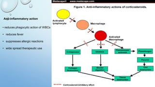 40
Anti-inflammatory action
• reduces phagocytic action of WBCs
• reduces fever
• suppresses allergic reactions
• wide spread therapeutic use
 