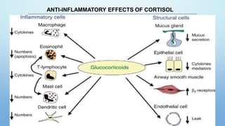 ANTI-INFLAMMATORY EFFECTS OF CORTISOL
41
 