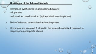 Hormones of the Adrenal Medulla
• Hormones synthesized in adrenal medulla are:
• dopamine
• adrenaline/ noradrenaline (epinephrine/norepinephrine)
• 80% of released catecholamine is epinephrine
• Hormones are secreted & stored in the adrenal medulla & released in
response to appropriate stimuli
4
 
