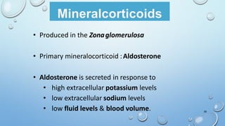 • Produced in the Zonaglomerulosa
• Primary mineralocorticoid :Aldosterone
• Aldosterone is secreted in response to
• high extracellular potassium levels
• low extracellular sodium levels
• low fluid levels & blood volume. 58
 