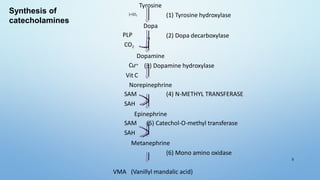 Tyrosine
(1) Tyrosine hydroxylase
Dopa
PLP
CO2
(2) Dopa decarboxylase
Dopamine
(3) Dopamine hydroxylaseCu++
Vit C
Norepinephrine
SAM (4) N-METHYL TRANSFERASE
SAH
Epinephrine
SAM (5) Catechol-O-methyl transferase
SAH
Metanephrine
(6) Mono amino oxidase
VMA (Vanillyl mandalic acid)
(+)O2
5
Synthesis of
catecholamines
 