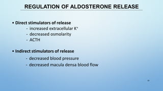 REGULATION OF ALDOSTERONE RELEASE
• Direct stimulators of release
- increased extracellular K+
- decreased osmolarity
- ACTH
• Indirect stimulators of release
- decreased blood pressure
- decreased macula densa blood flow
61
 
