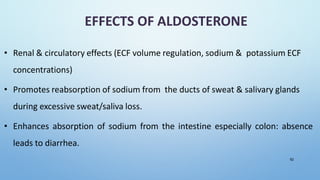EFFECTS OF ALDOSTERONE
• Renal & circulatory effects (ECF volume regulation, sodium & potassium ECF
concentrations)
• Promotes reabsorption of sodium from the ducts of sweat & salivary glands
during excessive sweat/saliva loss.
• Enhances absorption of sodium from the intestine especially colon: absence
leads to diarrhea.
62
 