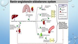 Renin Angiotensin System
64
 