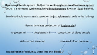 Renin-angiotensin system (RAS) or the renin-angiotensin-aldosterone system
(RAAS) : a hormone system regulating blood pressure & water (fluid) balance.
Low blood volume----- renin secretion by juxtaglomerular cells in the kidneys
65
Renin stimulates production of Angiotensin I
Angiotensin I Angiotensin II constriction of blood vessels
Aldosterone secretion increased blood pressure
Reabsorption of sodium & water into the blood
 