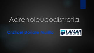 Adrenoleucodistrofia
Crizfidel Doñate Murillo
 