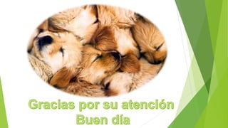 Adri.hemorragia dig incierto