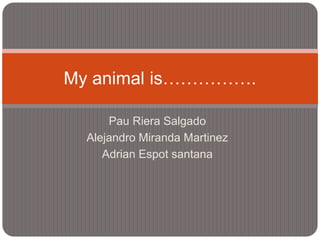 Pau Riera Salgado
Alejandro Miranda Martinez
Adrian Espot santana
My animal is…………….
 