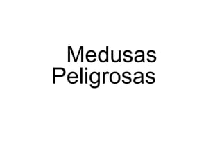 Medusas ,[object Object]