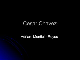 Cesar Chavez Adrian  Montiel - Reyes  