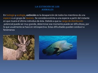 la extinción de los  animales En  biología  y  ecología ,  extinción  es la desaparición de todos los miembros de una  especie  o un grupo de  taxones . Se considera extinta a una especie a partir del instante en que muere el último individuo de ésta. Debido a que su  rango de distribución  potencial puede ser muy grande, determinar ese momento puede ser dificultoso, por lo que usualmente se hace en retrospectiva. Estas dificultades pueden conducir a fenómenos 
