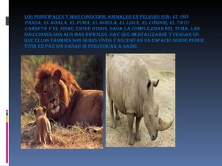 Los principales y mas conocidos animales en peligro son :  El Oso  Panda, el Koala, el Puma, el Gorila, el Lince, el Cóndor, el Tatu Carreta y el Tigre , entre otros. Dada la complejidad del tema, las soluciones son aun mas difíciles, hay que mentalizarse y pensar en que ellos también son seres vivos y necesitan un espacio donde poder vivir en paz sin dañar ni perjudicar a nadie 