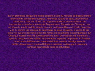 Es un grandioso bosque de niebla ubicado a sólo 30 minutos de Bogotá donde encontrarás ancestrales bosques, hermosas caídas de agua, asombrosos miradores y más de 18 Km. de mágicos senderos enmarcados en las imponentes montañas rocosas del Tequendama. Recorriendo Chicaque, con un poco de suerte podrás toparte con una curiosa ardilla o un tímido perezoso y en tu camino los sonidos de quebradas de agua cristalina, el canto de las aves y el susurro del viento entre las ramas de los árboles te acompañarán. En Chicaque existen más de 300 especies de aves, 20 especies de mamíferos, 7 tipos de bosque donde habitan innumerables especies de plantas. Al finalizar tu recorrido deléitate con nuestra deliciosa comida, cabalga entre la niebla, descansa en nuestro Refugio o cabañas, o deja que tu aventura continúe acampando entre la naturaleza.  