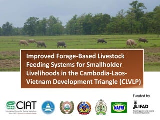 Improved Forage-Based Livestock
Feeding Systems for Smallholder
Livelihoods in the Cambodia-LaosVietnam Development Triangle (CLVLP)
Funded by

 