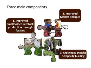 Adrian   clv lp overview. hanoi 20.02.14