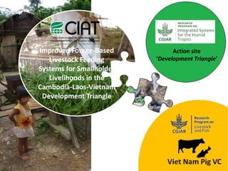 Adrian   clv lp overview. hanoi 20.02.14