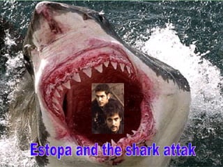 Estopa and the shark attak 