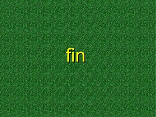 fin
