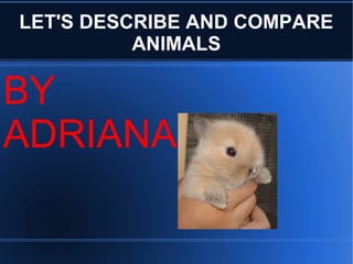 LET'S DESCRIBE AND COMPARE
ANIMALS
BY
ADRIANA
 