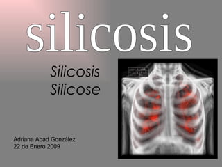 silicosis Adriana Abad González 22 de Enero 2009 Silicosis Silicose 