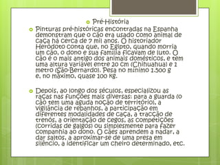  Pré-História
   Pinturas pré-históricas encontradas na Espanha
    demonstram que o cão era usado como animal de
    caça há cerca de 7 mil anos. O historiador
    Heródoto conta que, no Egipto, quando morria
    um cão, o dono e sua família ficavam de luto. O
    cão é o mais antigo dos animais domésticos, e tem
    uma altura variável entre 20 cm (Chihuahua) e 1
    metro (São-Bernardo). Pesa no mínimo 1.500 g
    e, no máximo, quase 100 kg.

   Depois, ao longo dos séculos, especializou as
    raças nas funções mais diversas: para a guarda (o
    cão tem uma aguda noção de território), a
    vigilância de rebanhos, a participação em
    diferentes modalidades de caça, a tracção de
    trenós, a orientação de cegos, as competições
    (corridas de galgos) ou simplesmente para fazer
    companhia ao dono. O cães aprendem a nadar, a
    dar saltos, a aproximar-se de uma presa em
    silêncio, a identificar um cheiro determinado, etc.
 